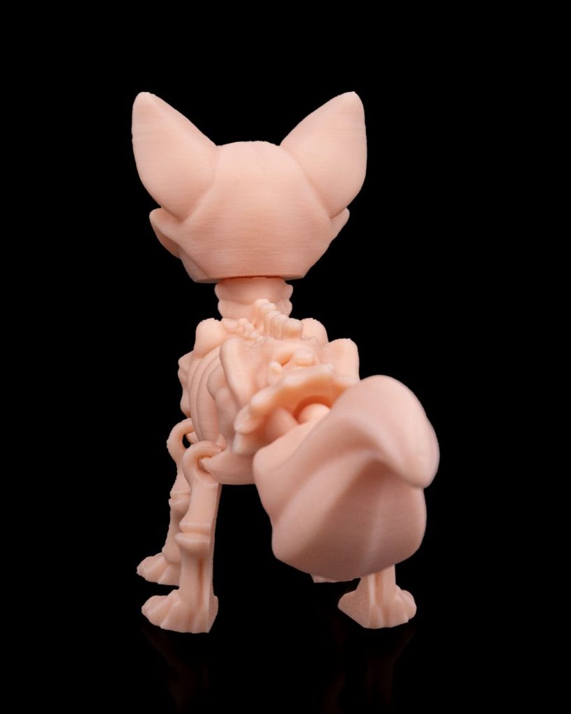 图片[2]-骨架狐狸Zorro esqueleto-3D合纵社-3D打印模型STL格式3mf格式免费下载！