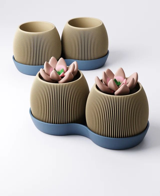 多肉花盆-3D合纵社-3D打印模型STL格式3mf格式免费下载！