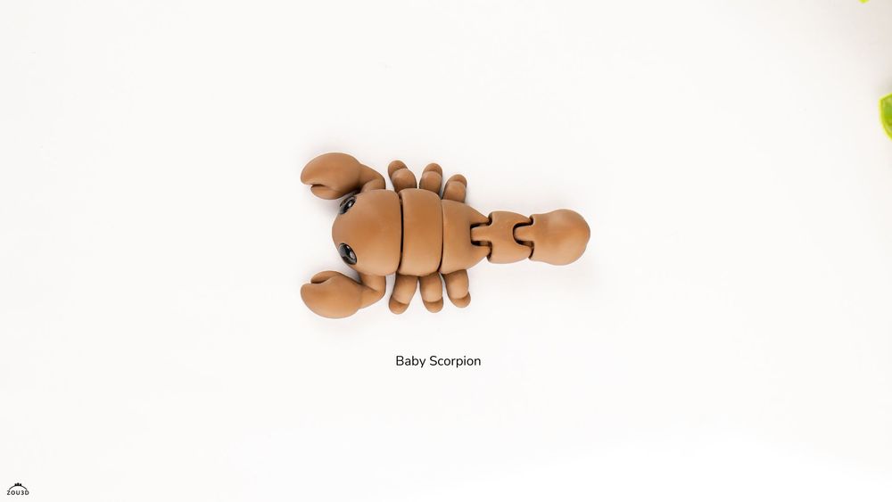 图片[2]-蝎子 Baby_Scorpion-3D合纵社-3D打印模型STL格式3mf格式免费下载！