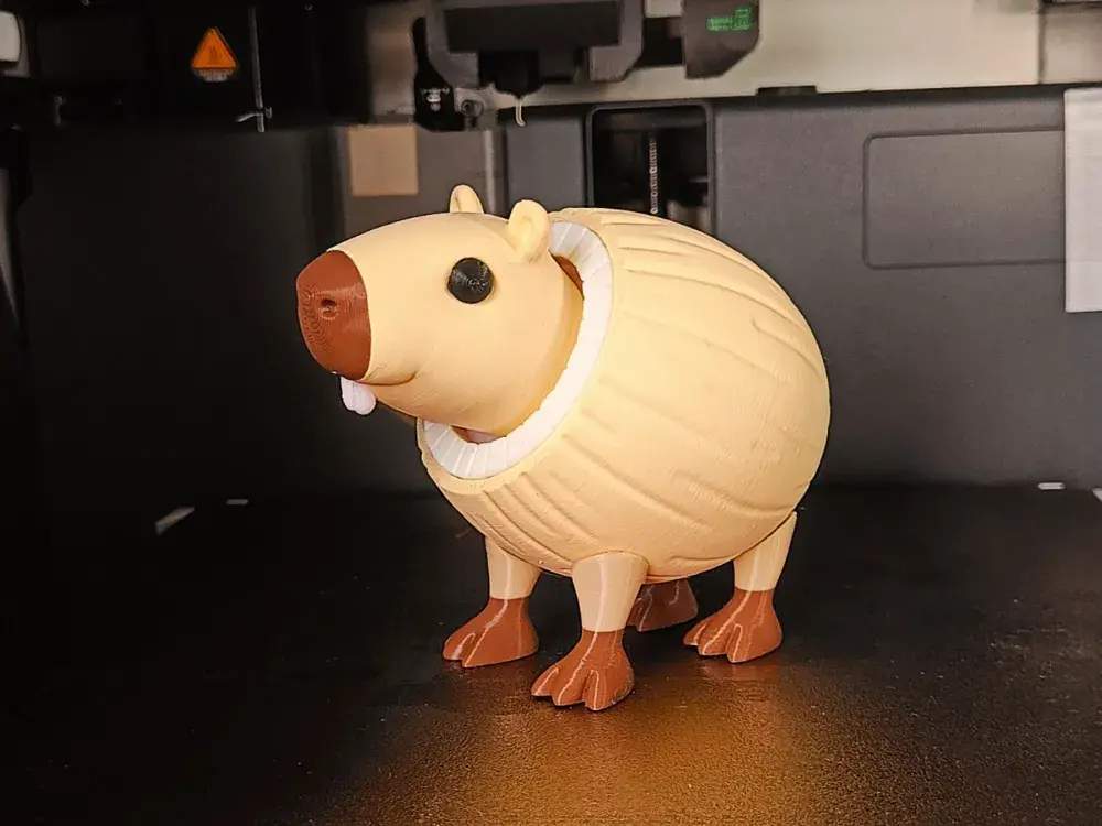 图片[3]-Burbaloni Luliloli 椰壳卡皮Burbaloni Luliloli-3D合纵社-3D打印模型STL格式3mf格式免费下载！