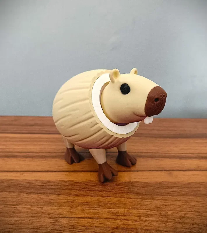 Burbaloni Luliloli 椰壳卡皮Burbaloni Luliloli-3D合纵社-3D打印模型STL格式3mf格式免费下载！