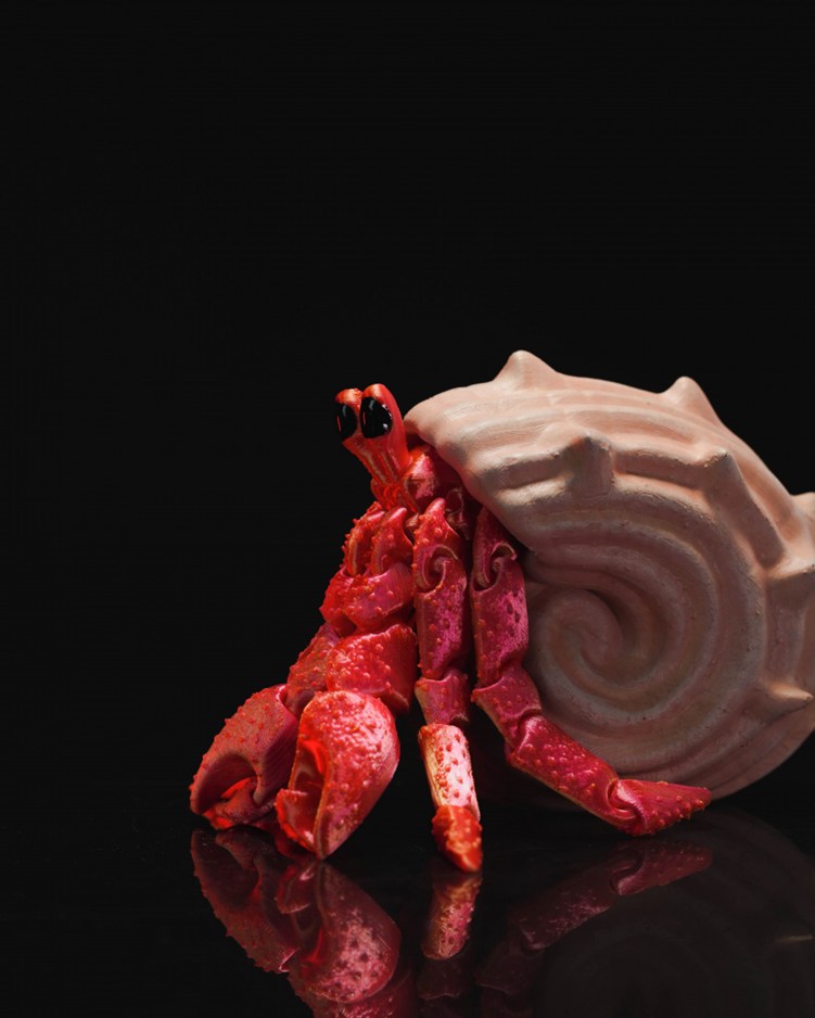 图片[3]-可动寄居蟹-3D合纵社-3D打印模型STL格式3mf格式免费下载！