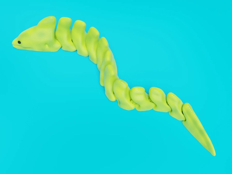 图片[2]-海鳗-3D合纵社-3D打印模型STL格式3mf格式免费下载！