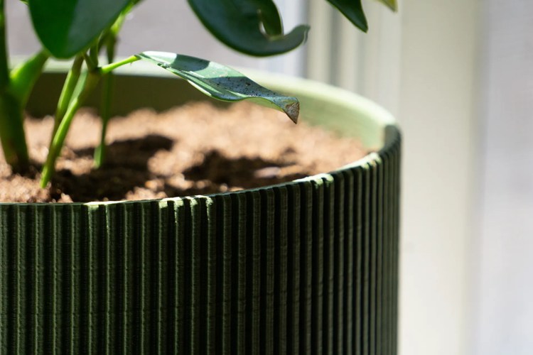 图片[3]-花盆-3D合纵社-3D打印模型STL格式3mf格式免费下载！