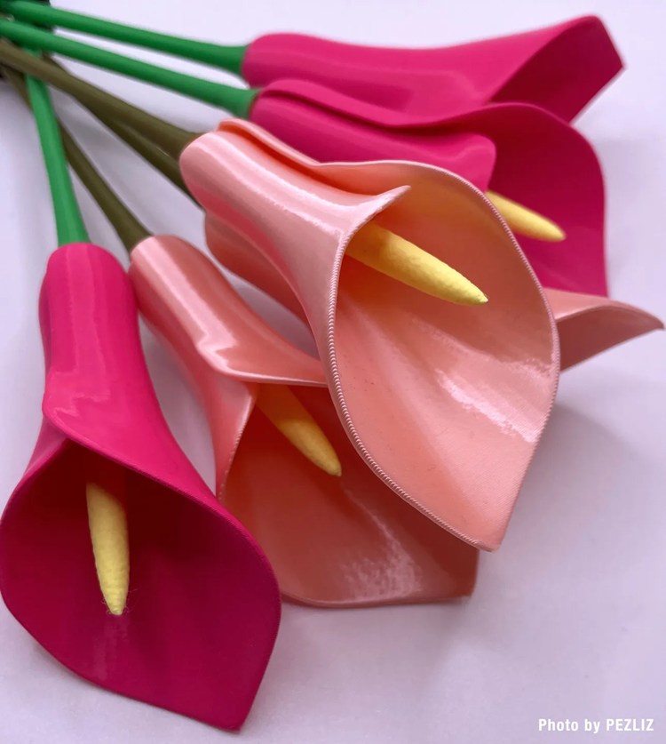 图片[2]-马蹄莲花-3D合纵社-3D打印模型STL格式3mf格式免费下载！