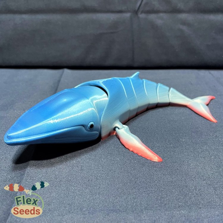 图片[4]-可动鲸鱼-3D合纵社-3D打印模型STL格式3mf格式免费下载！