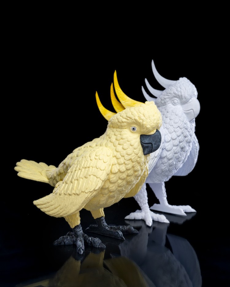 图片[3]-风头鹦鹉-3D合纵社-3D打印模型STL格式3mf格式免费下载！