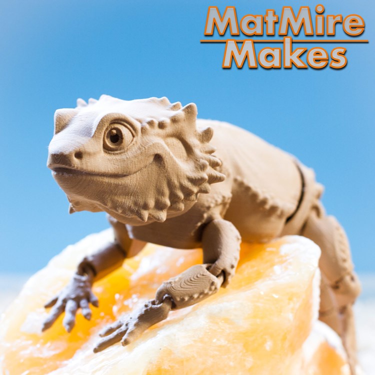 图片[2]-蜥蜴【可动模型】真实的胡须龙蜥蜴-3D合纵社-3D打印模型STL格式3mf格式免费下载！