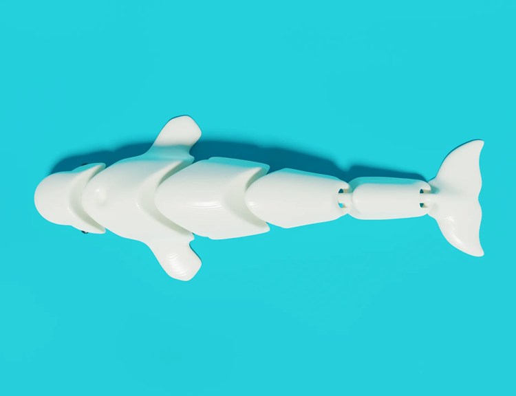 图片[2]-白鲸-3D合纵社-3D打印模型STL格式3mf格式免费下载！