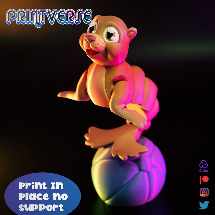 图片[3]-海豹SeaLion_Head-3D合纵社-3D打印模型STL格式3mf格式免费下载！