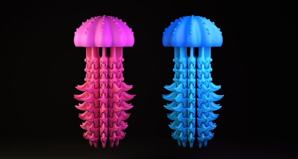 图片[2]-水母-3D合纵社-3D打印模型STL格式3mf格式免费下载！