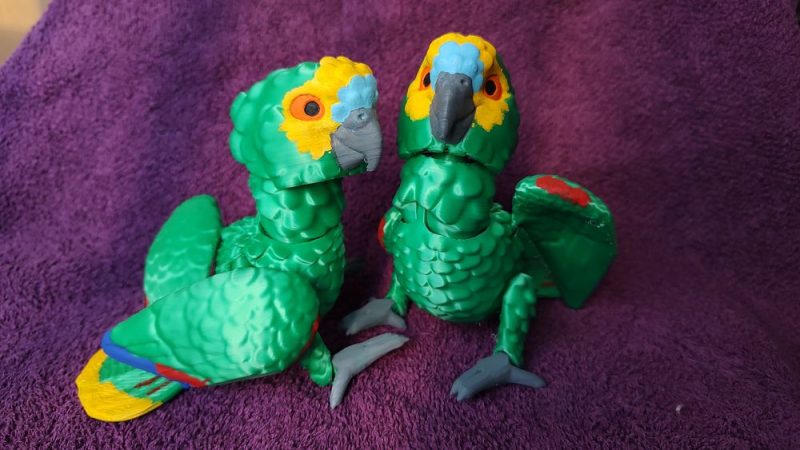 亚马逊鹦鹉-3D合纵社-3D打印模型STL格式3mf格式免费下载！