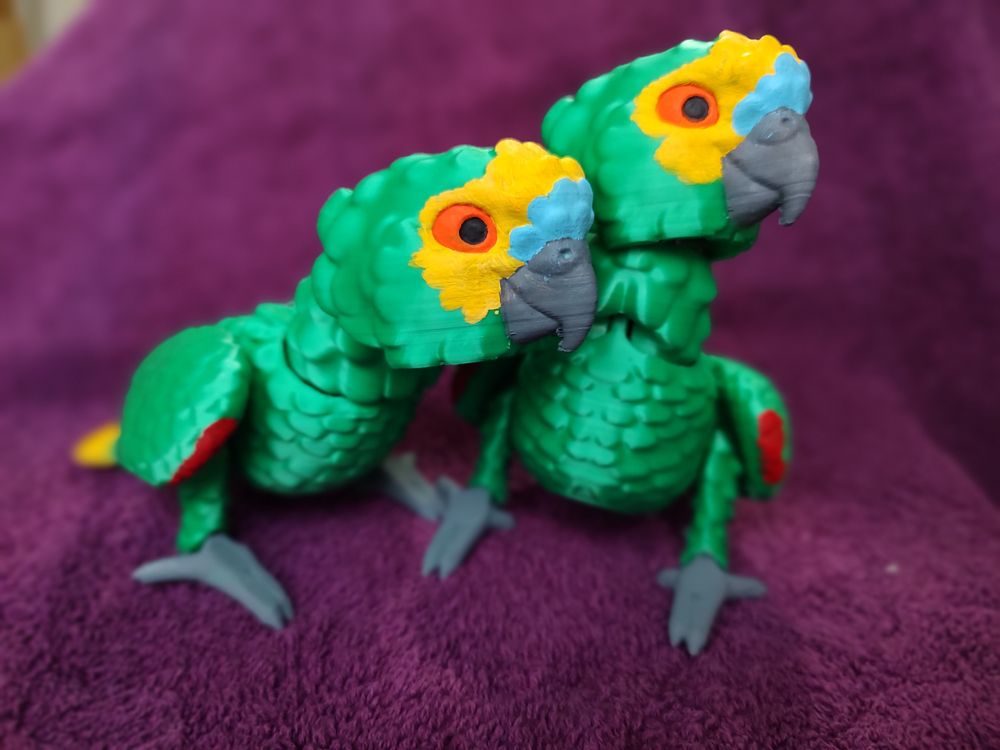 图片[2]-亚马逊鹦鹉-3D合纵社-3D打印模型STL格式3mf格式免费下载！