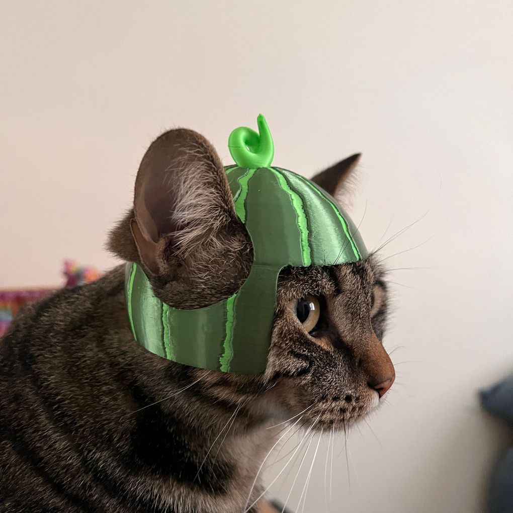 图片[3]-西瓜猫帽-3D合纵社-3D打印模型STL格式3mf格式免费下载！