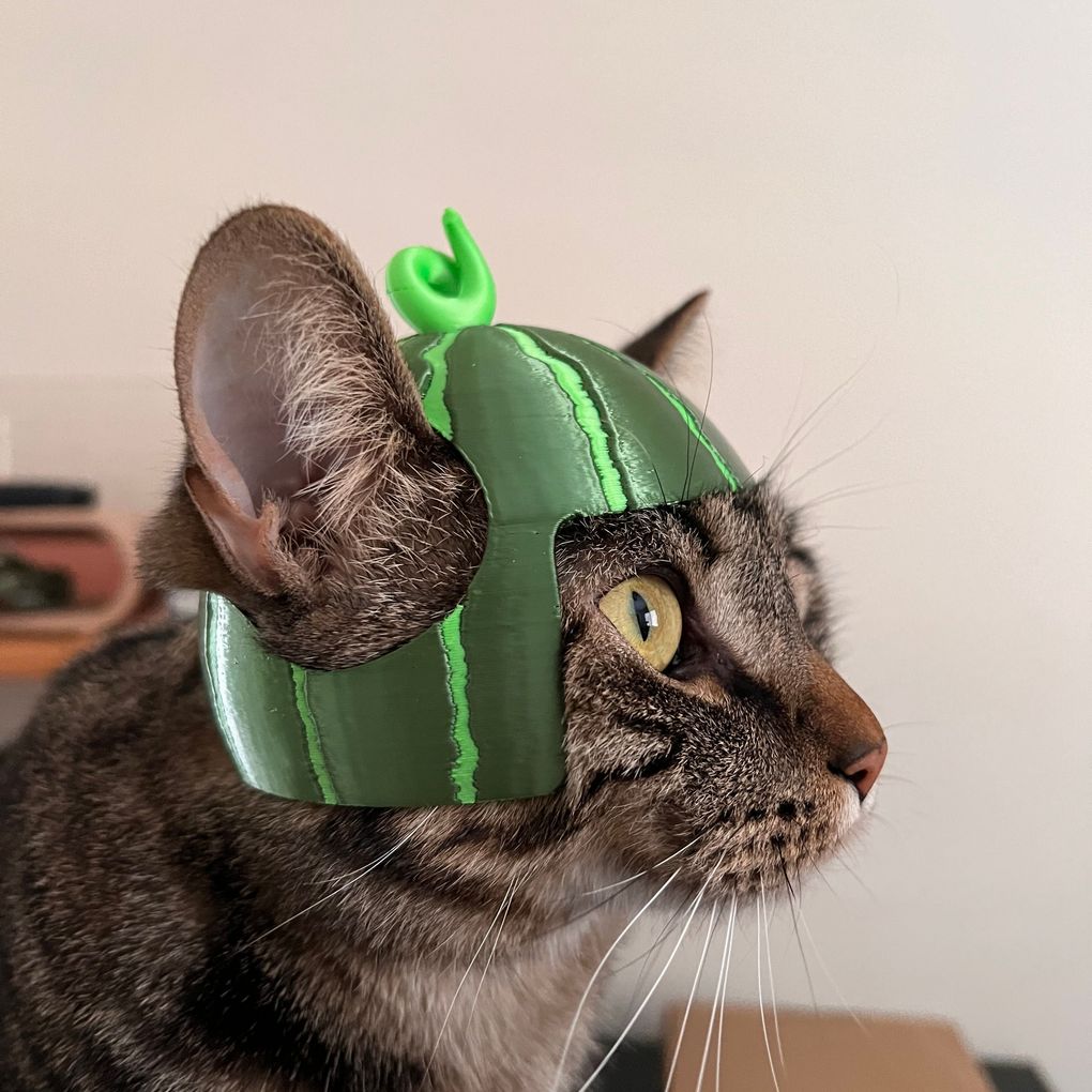 图片[2]-西瓜猫帽-3D合纵社-3D打印模型STL格式3mf格式免费下载！