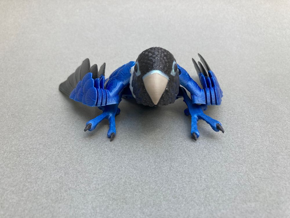 图片[4]-鹦鹉-3D合纵社-3D打印模型STL格式3mf格式免费下载！