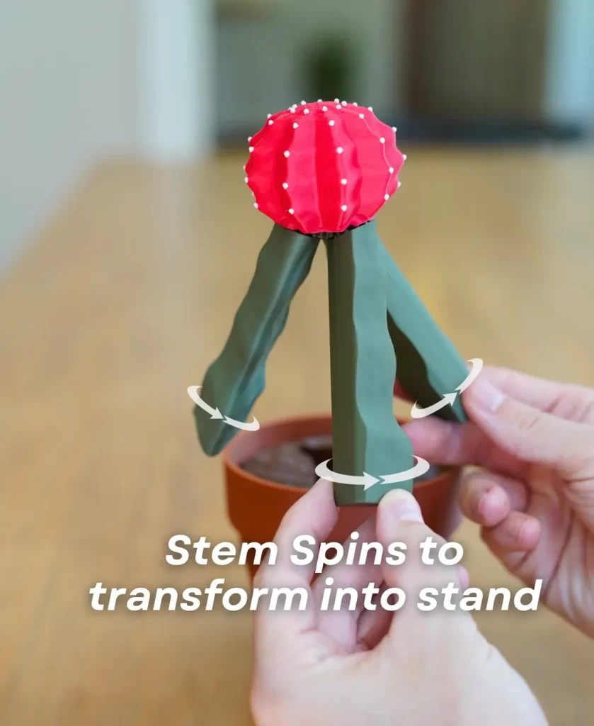 图片[4]-仙人球手机支架-3D合纵社-3D打印模型STL格式3mf格式免费下载！