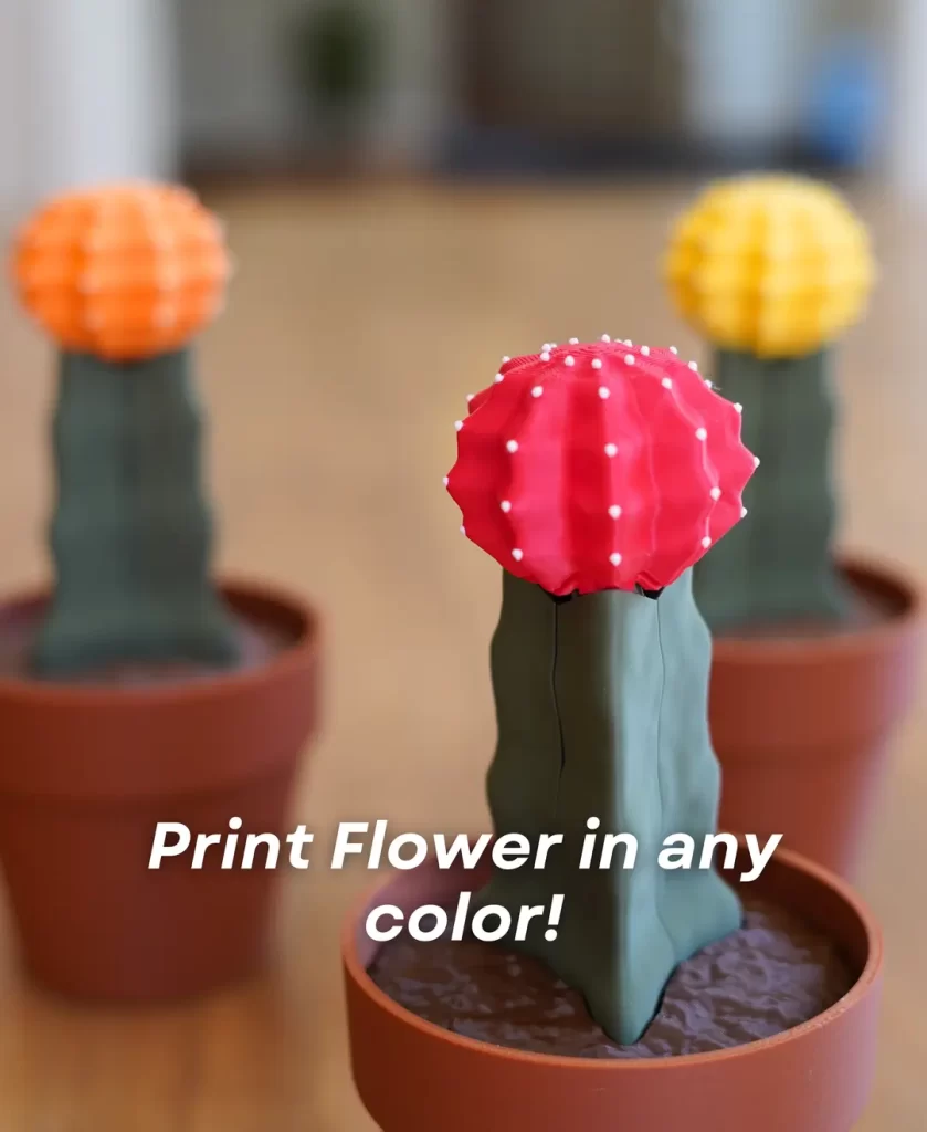 图片[2]-仙人球手机支架-3D合纵社-3D打印模型STL格式3mf格式免费下载！