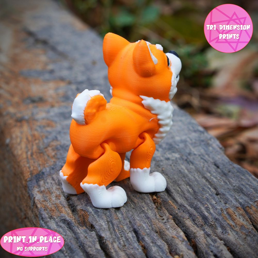 图片[3]-柴犬-3D合纵社-3D打印模型STL格式3mf格式免费下载！