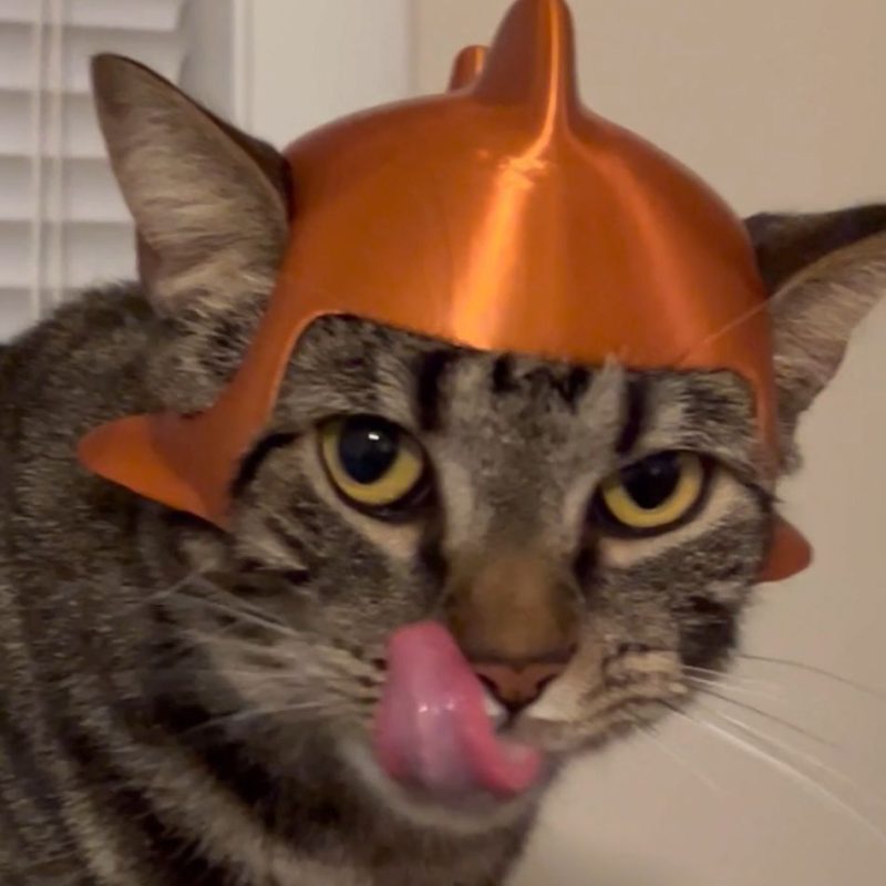 金鱼猫帽-3D合纵社-3D打印模型STL格式3mf格式免费下载！