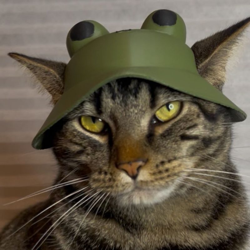 青蛙猫帽子-3D合纵社-3D打印模型STL格式3mf格式免费下载！