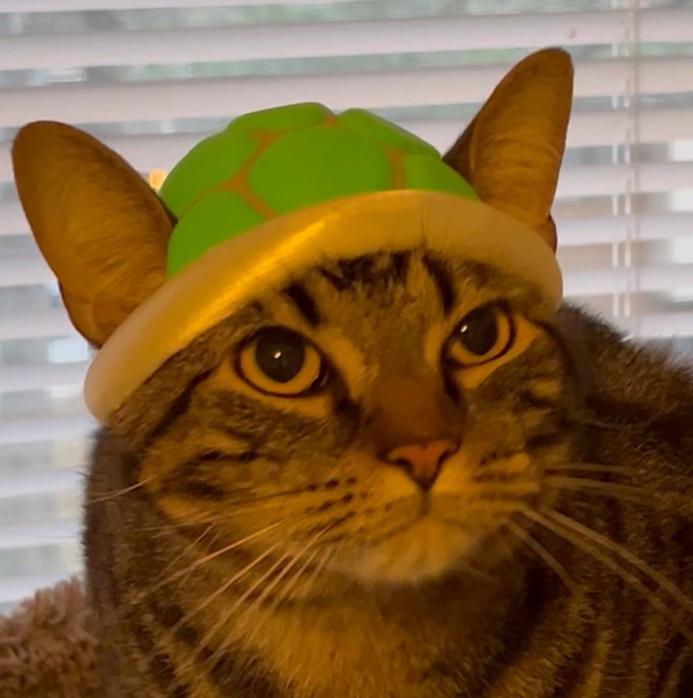 图片[3]-乌龟猫帽-3D合纵社-3D打印模型STL格式3mf格式免费下载！