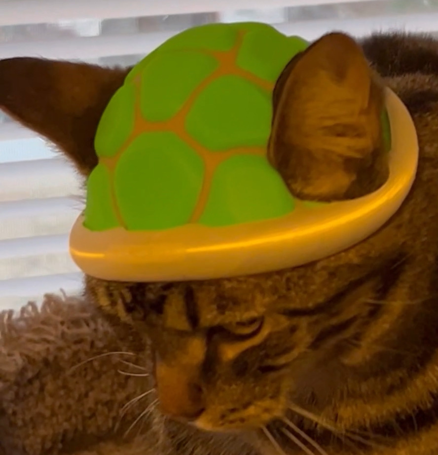 图片[2]-乌龟猫帽-3D合纵社-3D打印模型STL格式3mf格式免费下载！