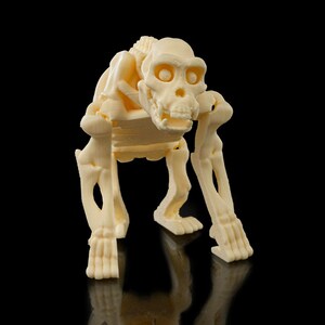 骷髅黑猩猩-3D合纵社-3D打印模型STL格式3mf格式免费下载！